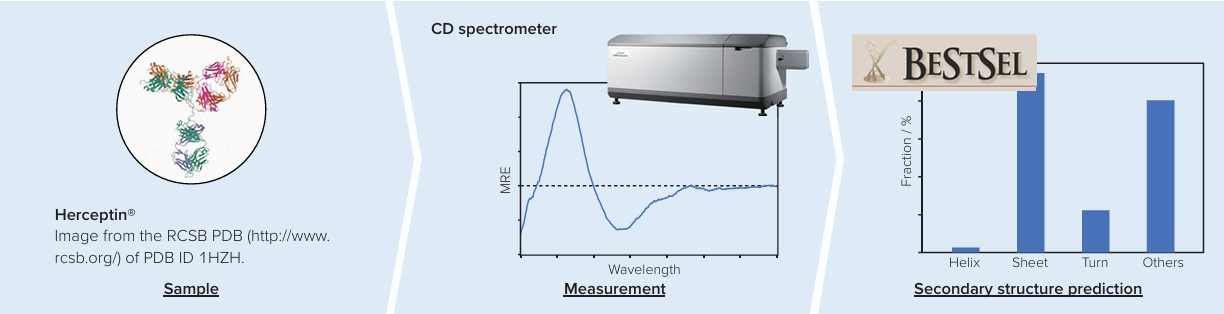 BestSel CD 분석 결과 예시