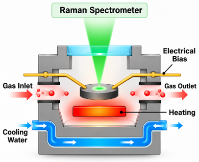Gas / Flow In-situ Raman