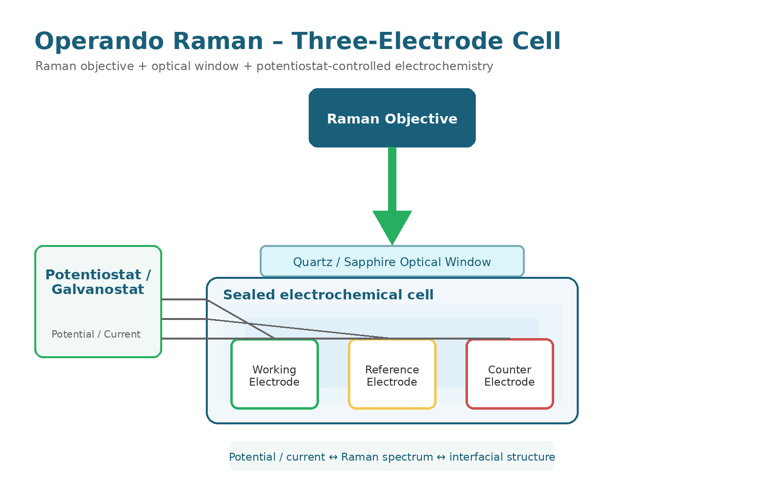 Three electrode operando Raman electrochemical cell schematic